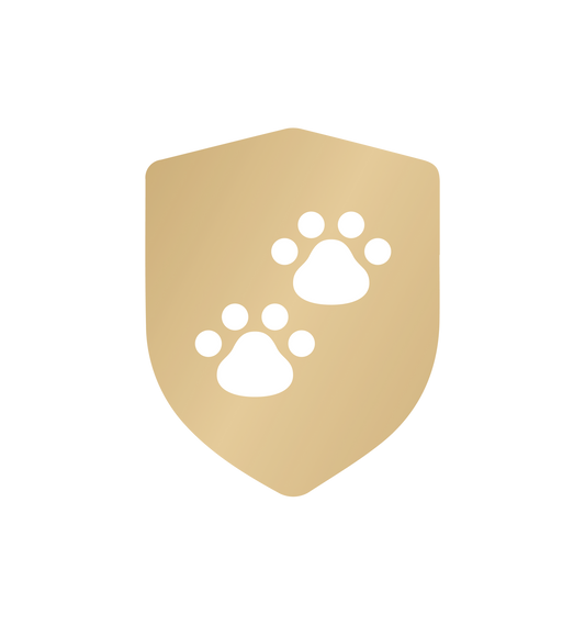 Petlibro Care