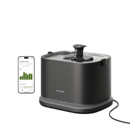 Dockstream 2 Smart Fountain for pet