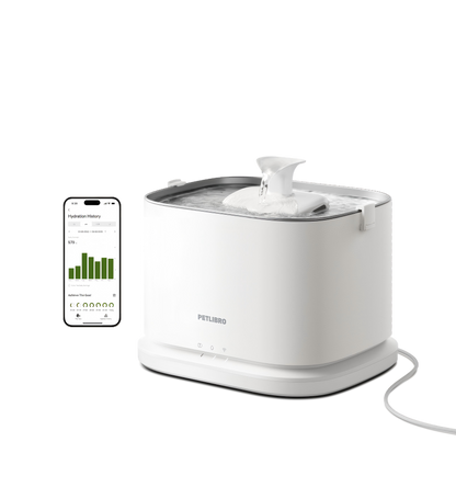 Dockstream 2 Smart Fountain for pet
