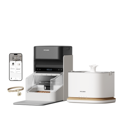 RFID Smart Feeder & Dockstream 2 Smart Cordless Fountain Bundle