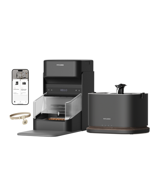 RFID Smart Feeder & Dockstream 2 Smart Cordless Fountain Bundle