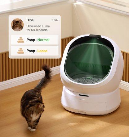 Luma Smart Litter Box with Fountain