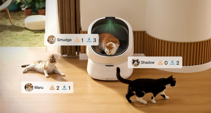 Luma Smart Litter Box Set