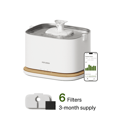 Dockstream 2 Smart Fountain