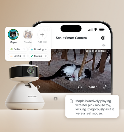 RFID Smart Feeder & Scout Smart Camera