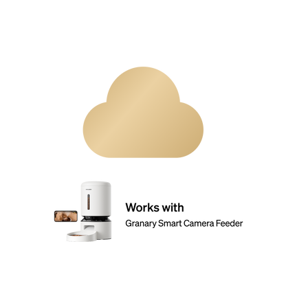 Petlibro Video Cloud