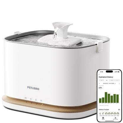 Dockstream 2 Smart Fountain for pet