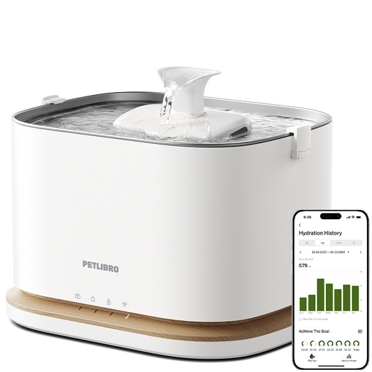 Dockstream 2 Smart Fountain for pet