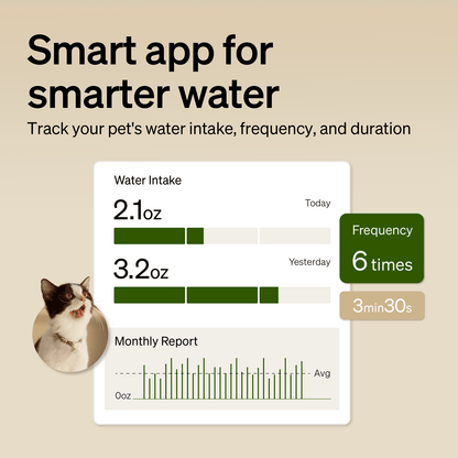 Dockstream RFID Smart Fountain for pet