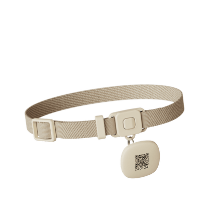 RFID Collar Tag