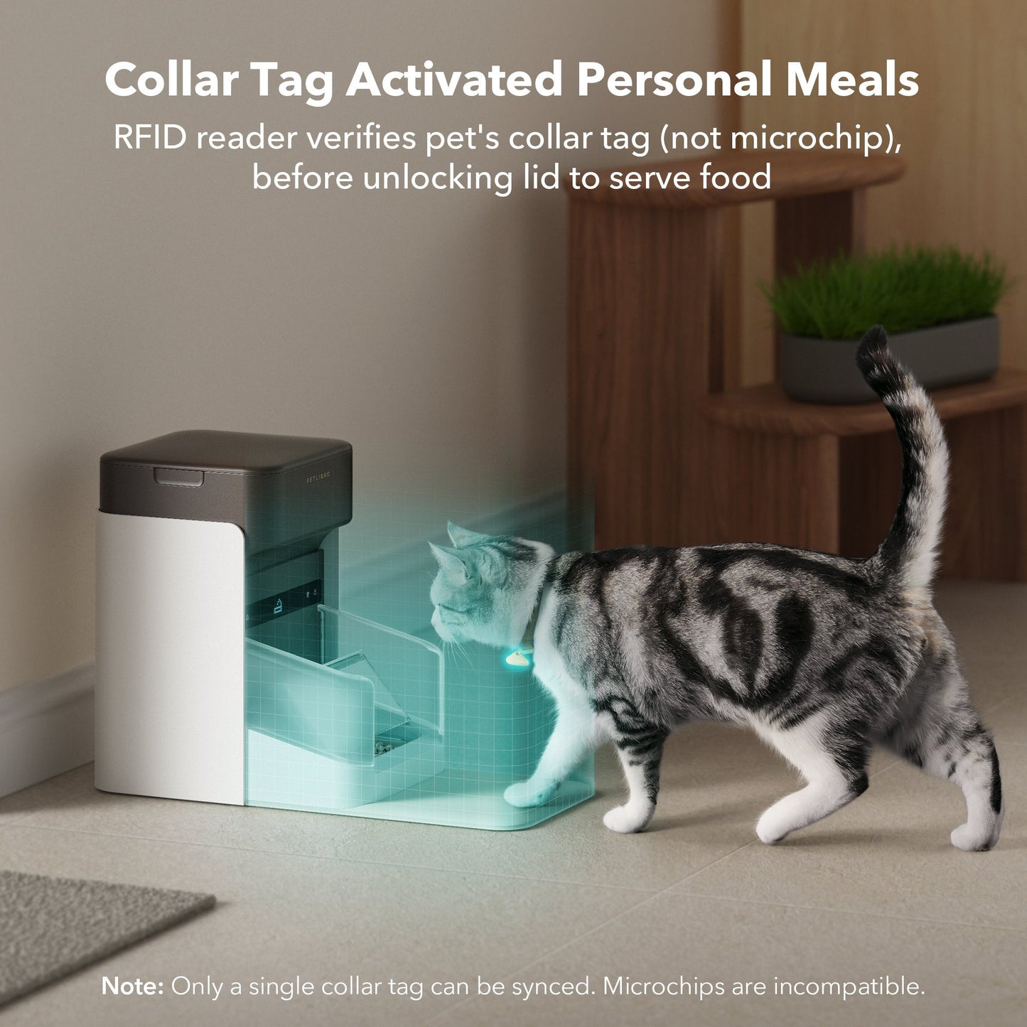 RFID Smart Feeder & Scout Smart Camera