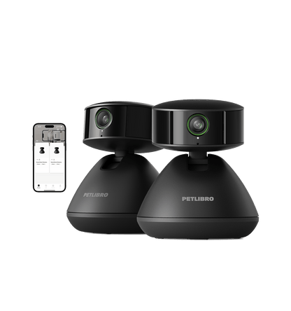 Scout Smart Camera for pet